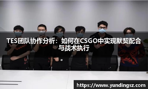 TES团队协作分析：如何在CSGO中实现默契配合与战术执行