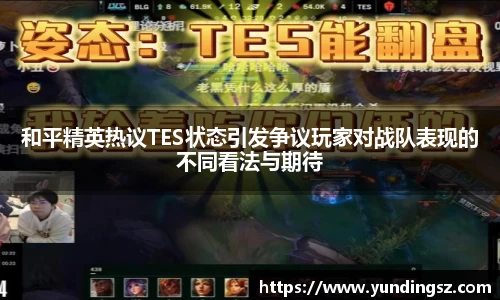 和平精英热议TES状态引发争议玩家对战队表现的不同看法与期待