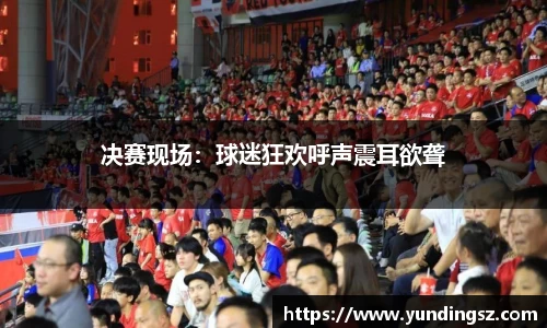 决赛现场：球迷狂欢呼声震耳欲聋